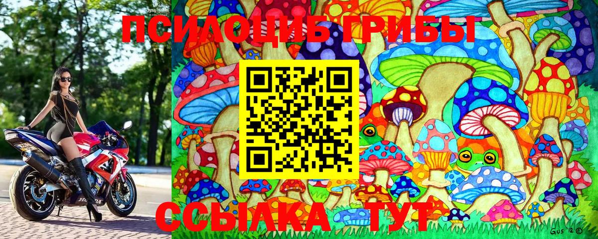 Галлюциногенные грибы Psilocybine cubensis  Вход с VPN  Галлюциногенные грибы GOLDEN TEACHER  Кизляр 
