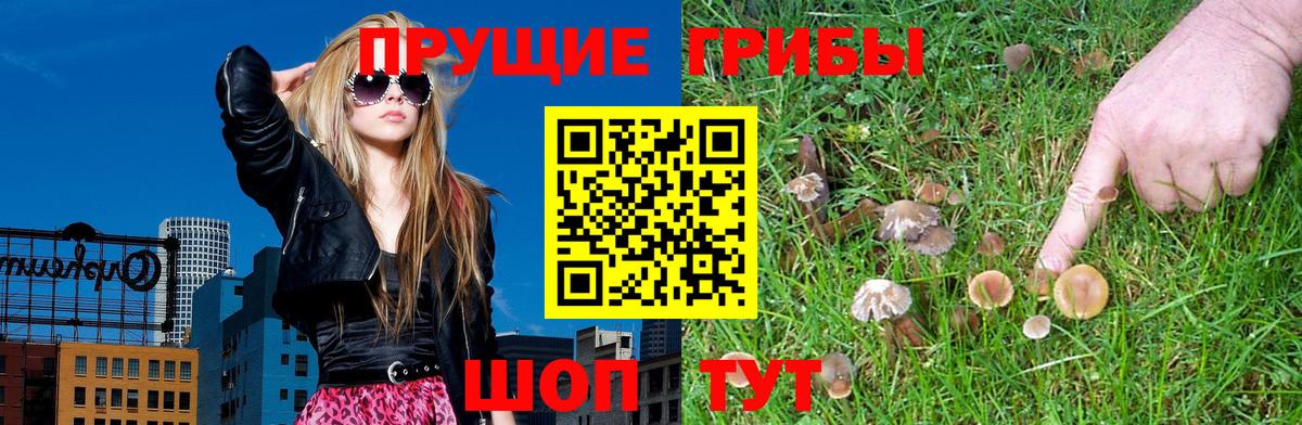 Псилоцибиновые грибы MAGIC MUSHROOMS Кизляр